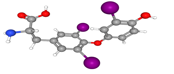 triodothyronine