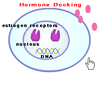 Steroid receptor dna binding