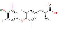 thyroxine